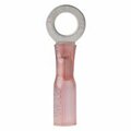 Safety First 091887311082 0.25 In. 22-18 Heatshrink Ring Terminal- Pack 100 SA2931250